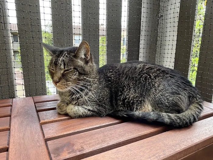 Home Pet Euthanasia of Southern California 7