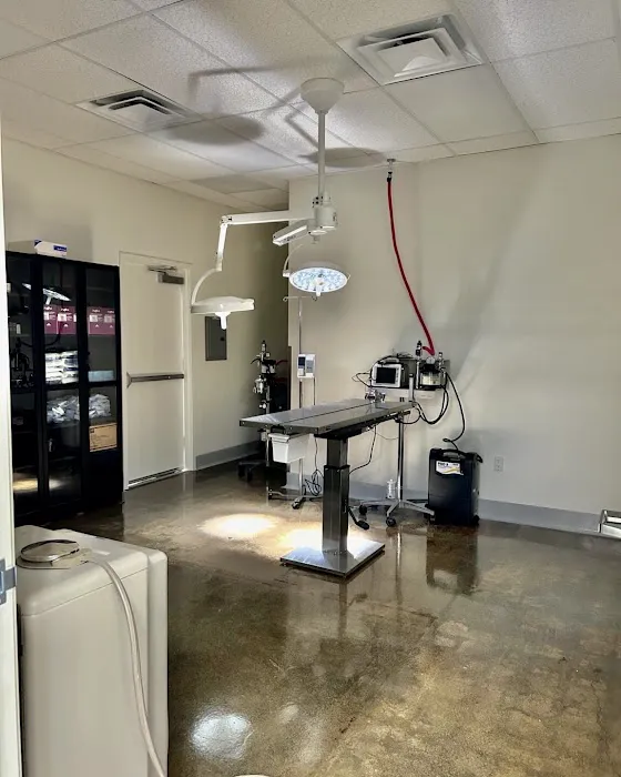 Lee Animal Hospital of Orange County: Walk-Ins Welcome 7