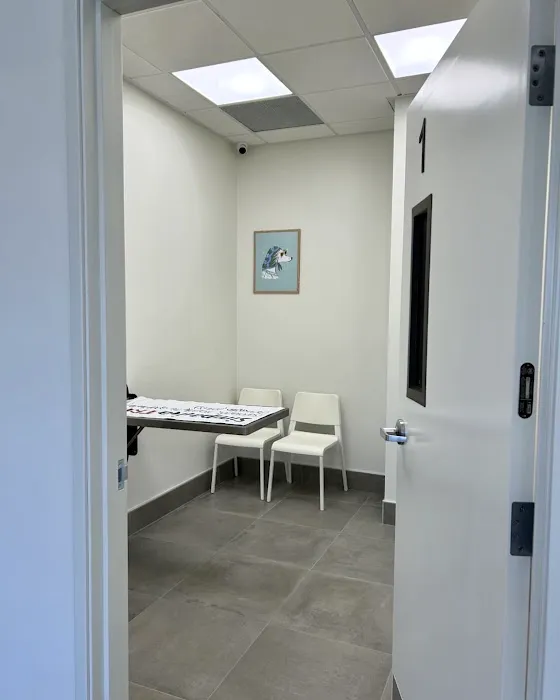 Lee Animal Hospital of Orange County: Walk-Ins Welcome 2