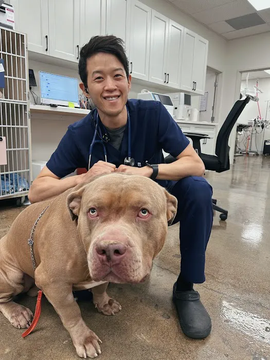 Lee Animal Hospital of Orange County: Walk-Ins Welcome 4