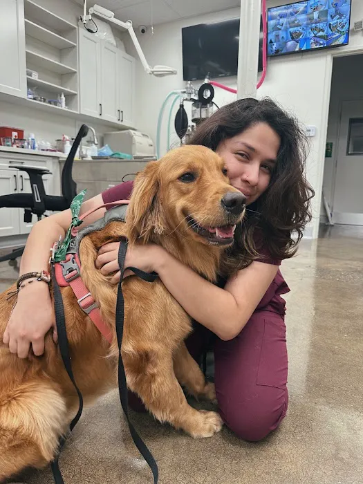 Lee Animal Hospital of Orange County: Walk-Ins Welcome 1