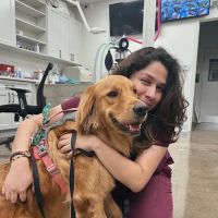 Lee Animal Hospital of Orange County: Walk-Ins Welcome ico