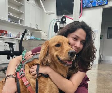 Lee Animal Hospital of Orange County: Walk-Ins Welcome