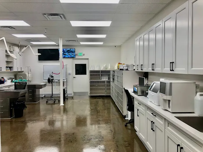 Lee Animal Hospital of Orange County: Walk-Ins Welcome 5