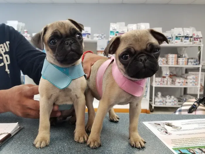 Healthy Pet Hospital and Grooming 9