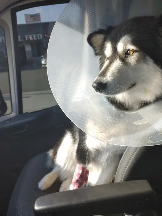 East Chapman Veterinary Center 3