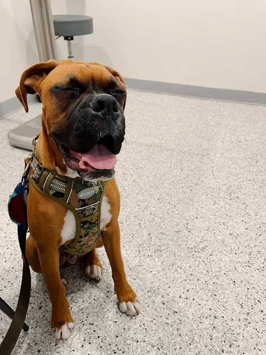 East Chapman Veterinary Center 7