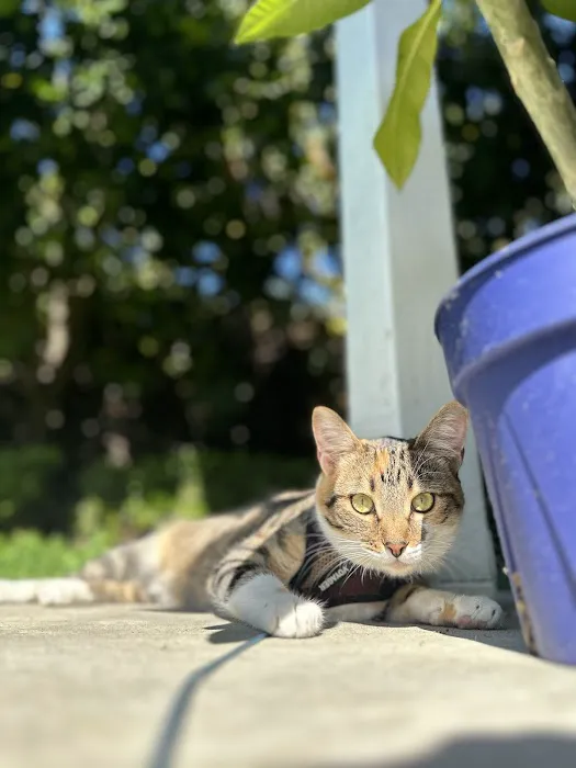 East Chapman Veterinary Center 9