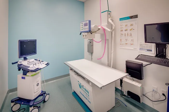 Tustin Legacy Animal Hospital 10