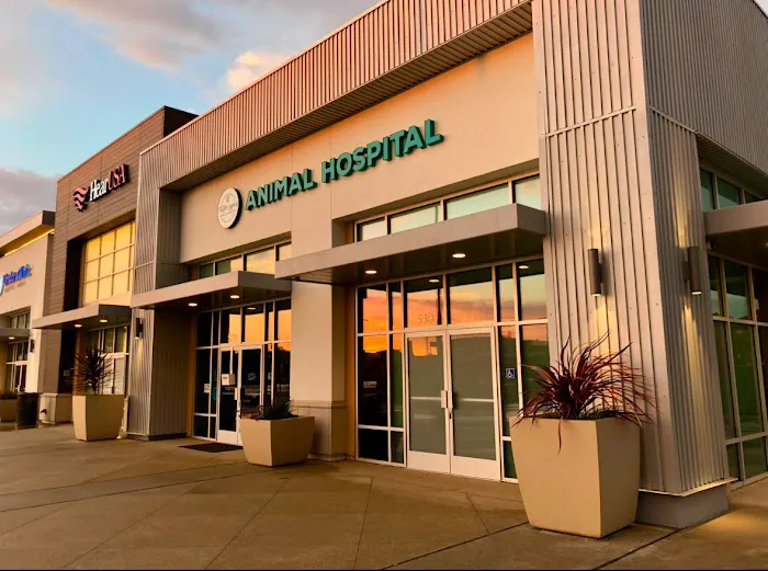 Tustin Legacy Animal Hospital 4