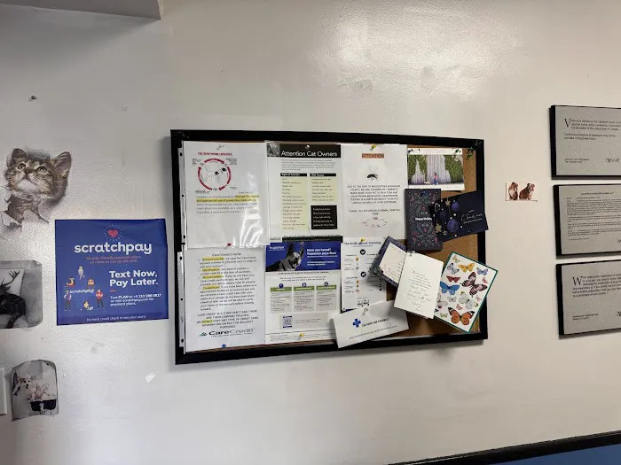 Affordable Animal Hospital of Orange 12