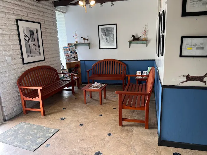 Affordable Animal Hospital of Orange 12