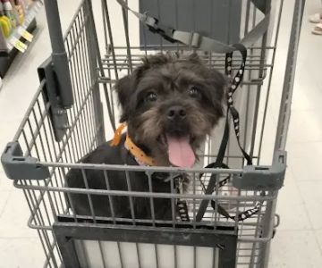 Banfield Pet Hospital