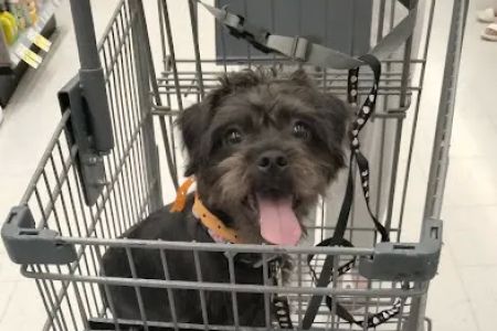 Banfield Pet Hospital