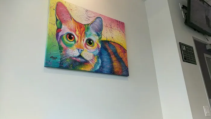 The Cat Care Clinic 12