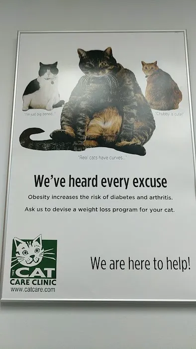 The Cat Care Clinic 12
