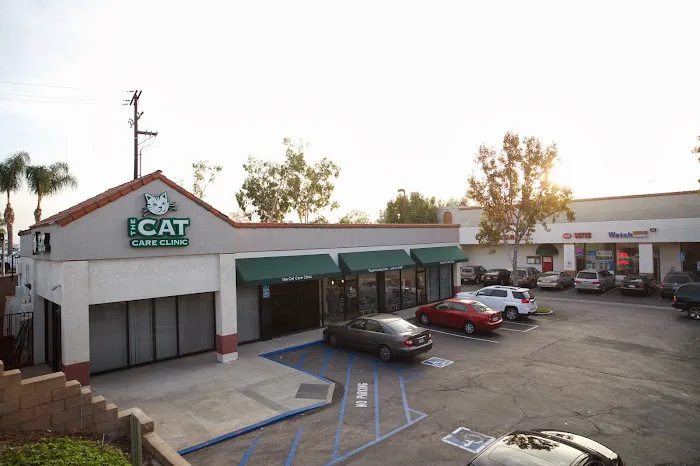 The Cat Care Clinic 12
