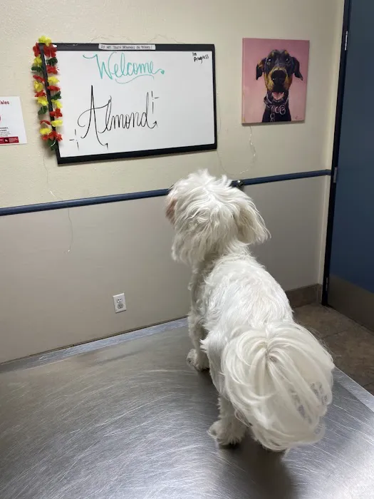 Villa Park Animal Clinic 12