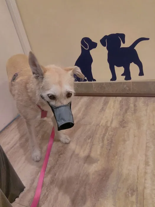 Orange Hill Veterinary Hospital 12