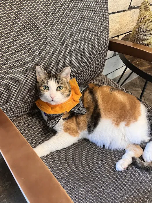 Orange Hill Veterinary Hospital 12