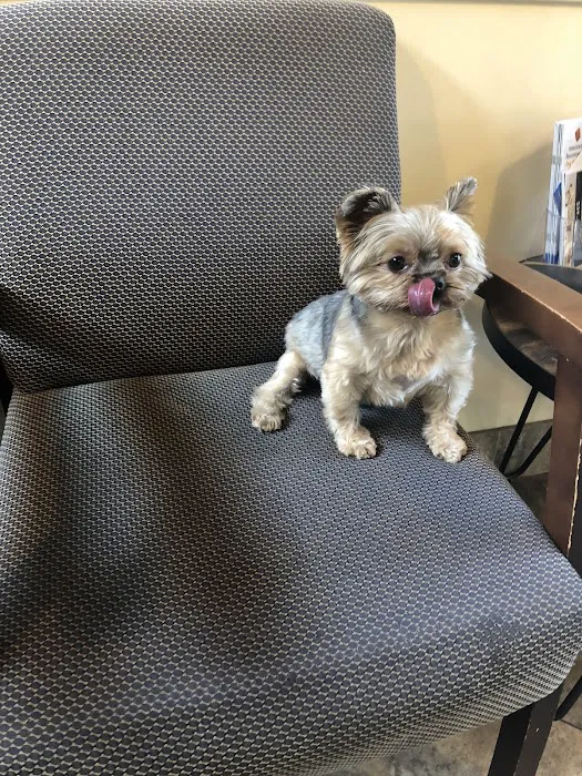 Orange Hill Veterinary Hospital 12
