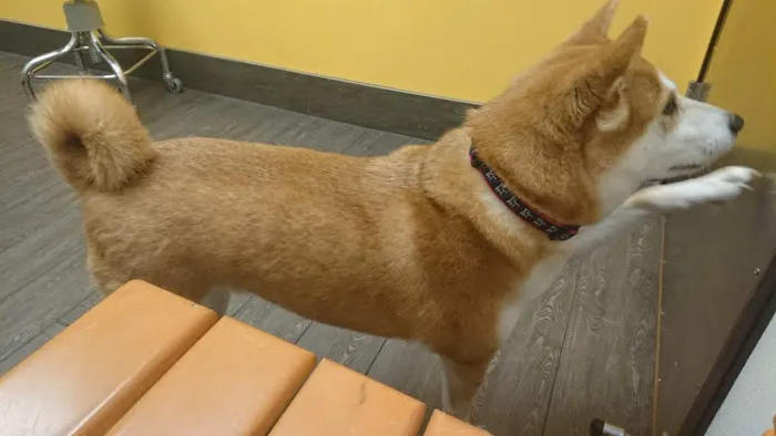 Banfield Pet Hospital 12