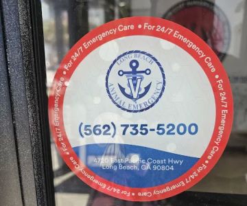 Magnolia Animal Hospital