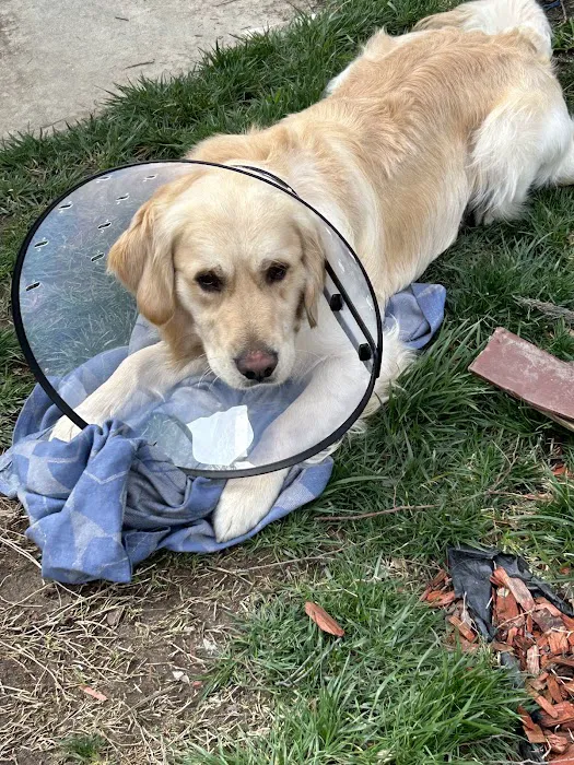 Primary Care Animal Hospital - Bixby Knolls 12