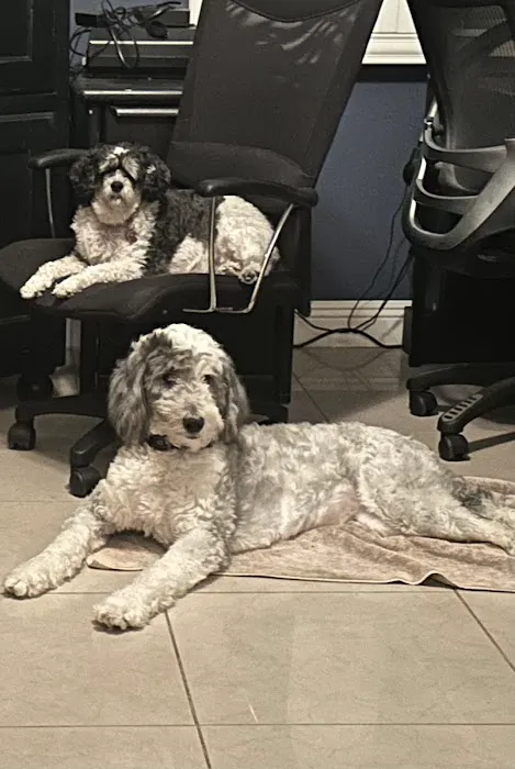 Primary Care Animal Hospital - Bixby Knolls 12