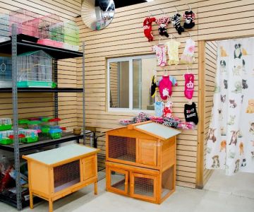 Tweety Brothers Pet Shop