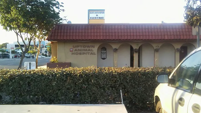 Uptown Animal Hospital Inc 12
