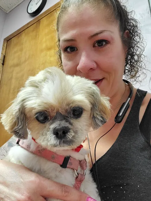 Uptown Animal Hospital Inc 12