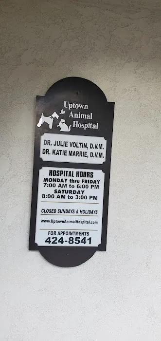 Uptown Animal Hospital Inc 12