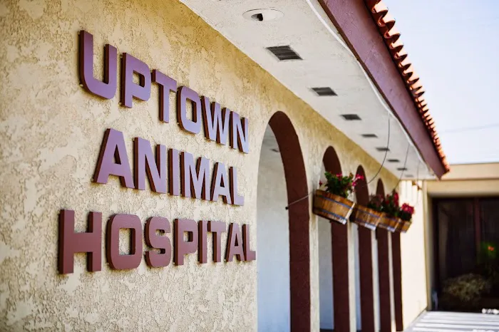 Uptown Animal Hospital Inc 12