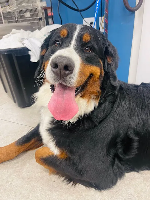 Bixby Animal Clinic 3