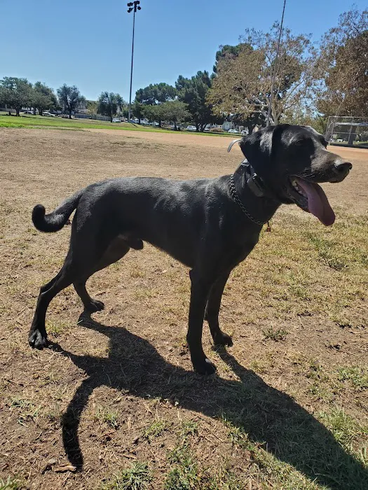 Bixby Animal Clinic 9