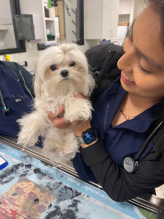 Bixby Animal Clinic 8