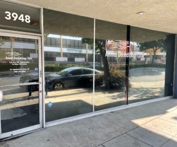 Animal Dermatology Clinic