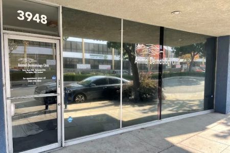Animal Dermatology Clinic