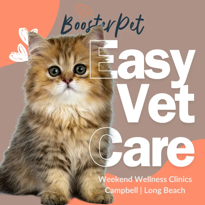 BoosterPet Weekend Wellness Veterinary Clinic in Long Beach 2