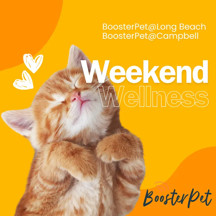 BoosterPet Weekend Wellness Veterinary Clinic in Long Beach 10
