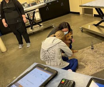 VIP Petcare Vaccination Clinic