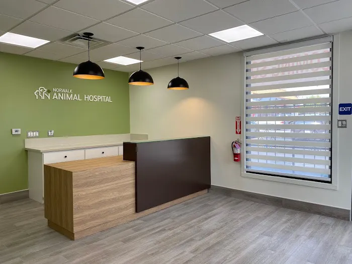 Norwalk Animal Hospital 1
