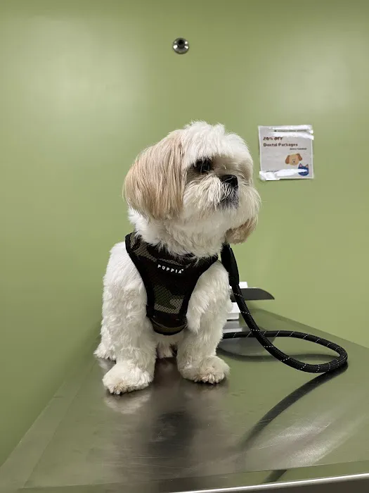 Norwalk Animal Hospital 9