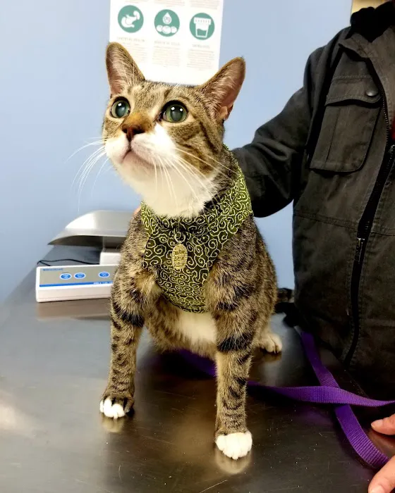Norwalk Animal Hospital 2