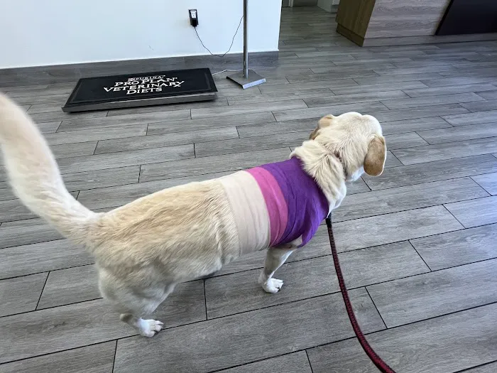 Norwalk Animal Hospital 5