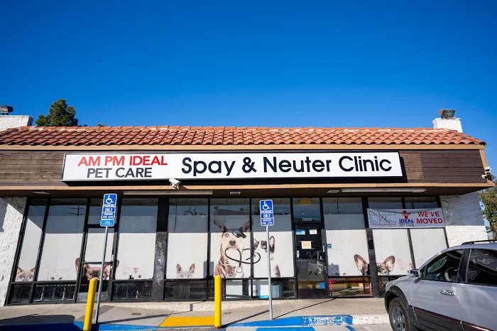 AM PM Spay & Neuter Clinic 2
