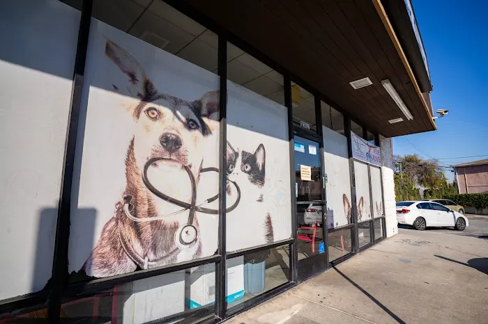 AM PM Spay & Neuter Clinic 1