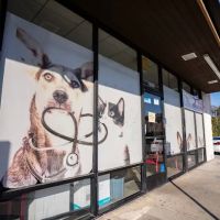 AM PM Spay & Neuter Clinic ico