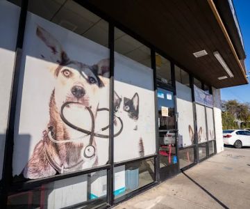 AM PM Spay & Neuter Clinic